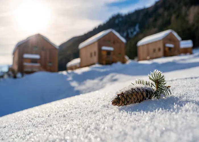 Hochoben & Mobilhomes Chalet *